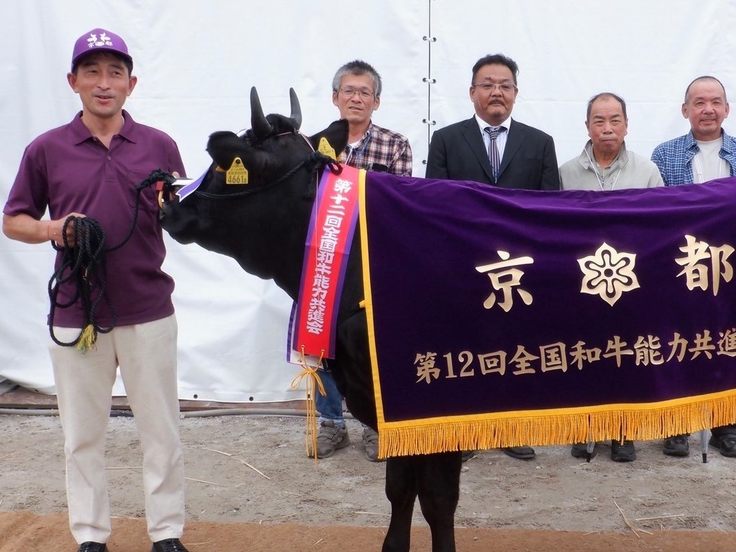 放牧と自給飼料生産で子牛生産費低減と高品質和牛の肥育に取り組む。株式会社いちがお畜産（京丹後市）