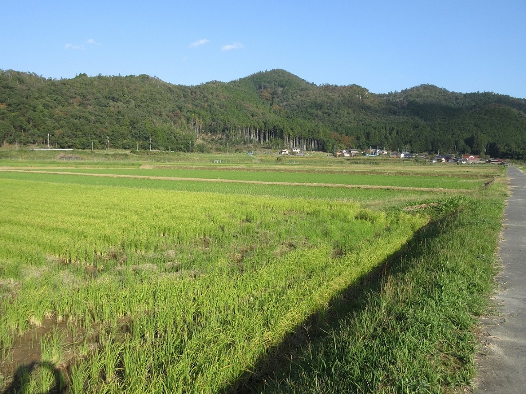 耕作放棄地はありません