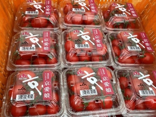 ミニトマトの出荷