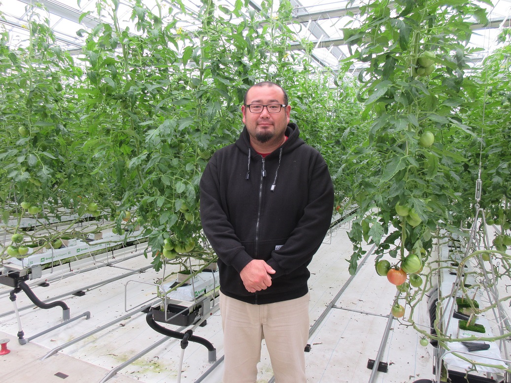 最新設備のハウスで高収量、美味しいトマト栽培を目指す 株式会社 京都杉田農園
