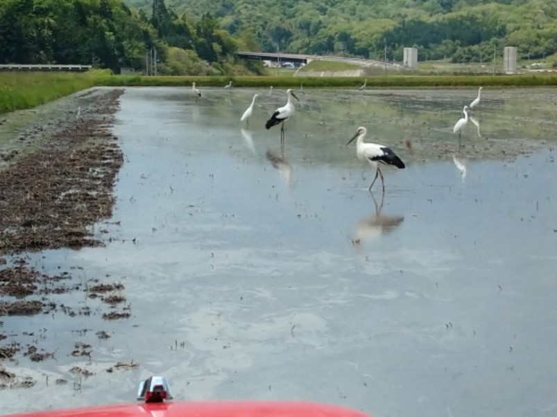 京丹後森本アグリ