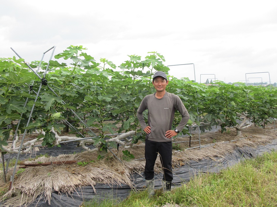 地域に根差し農業を続けます。 株式会社 森島平兵衛農園