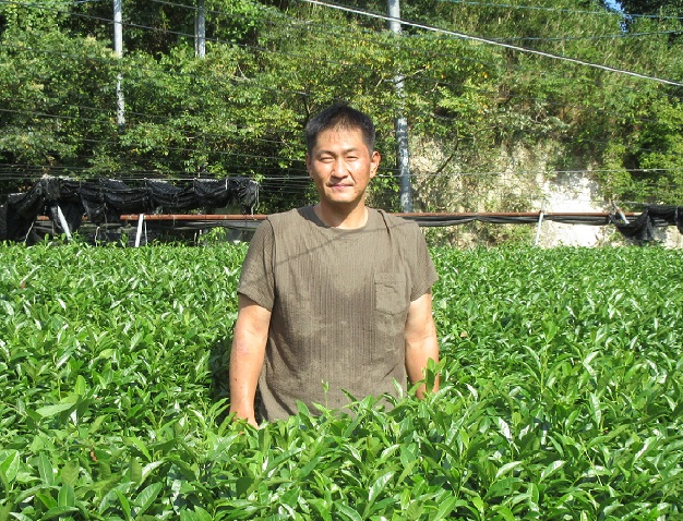 高品質な碾茶を作り続けたい。森田製茶