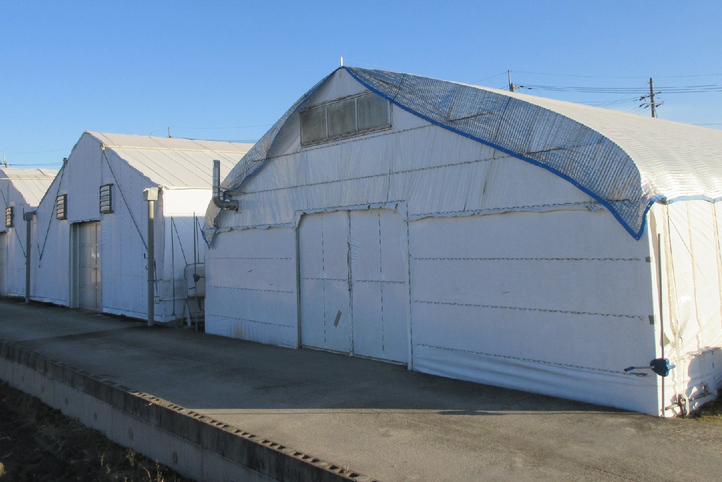 椎茸栽培のハウス