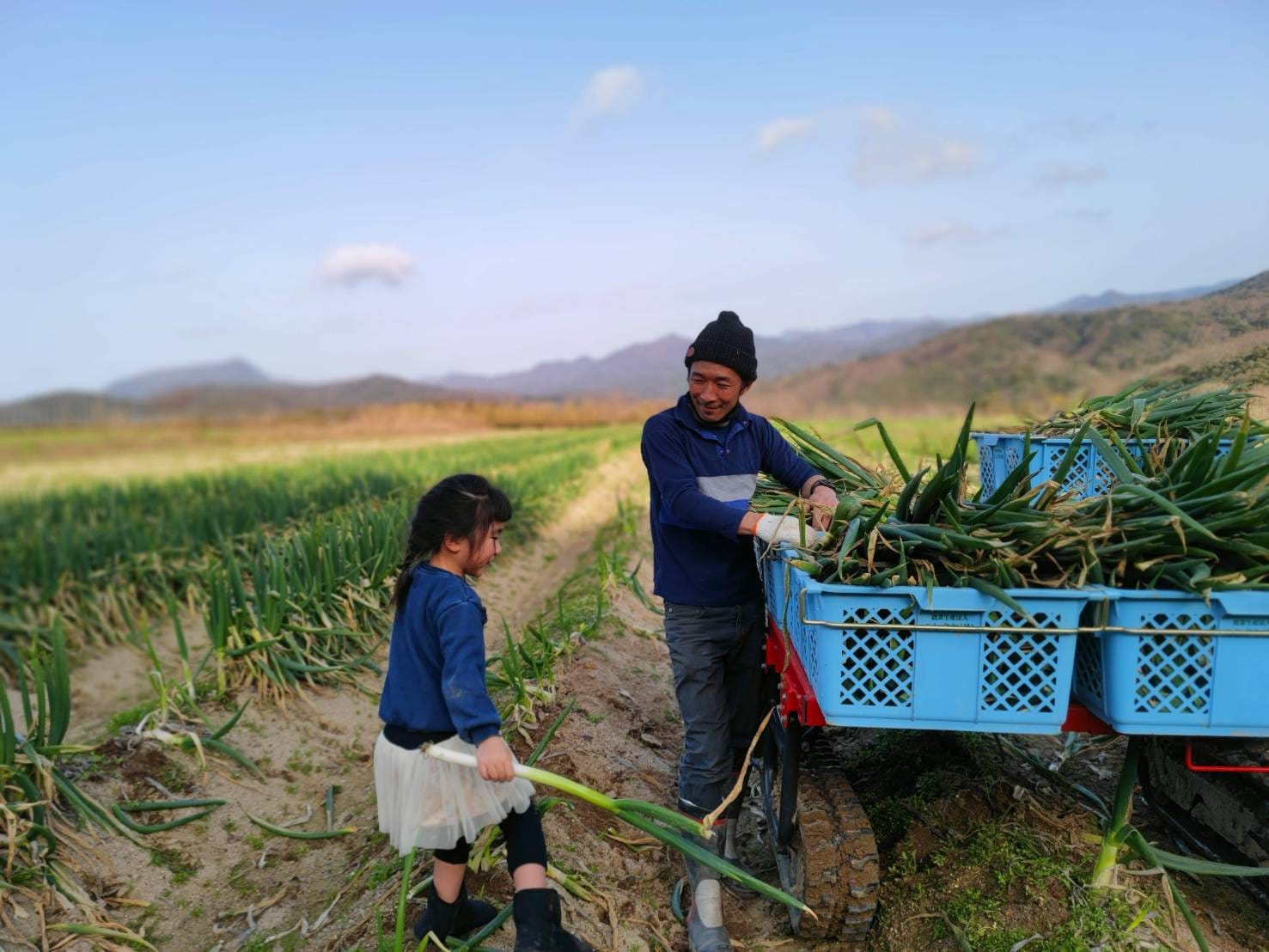 株式会社野木源
