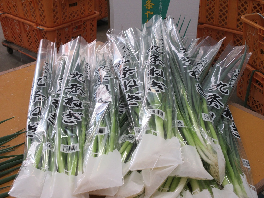 京野菜 九条ねぎ（個包装）