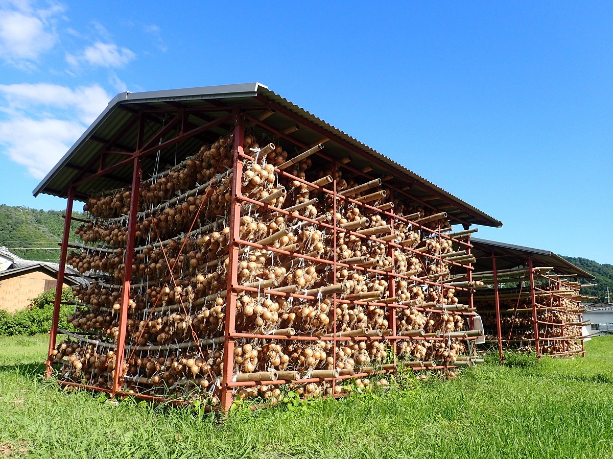 玉ねぎ吊るし小屋