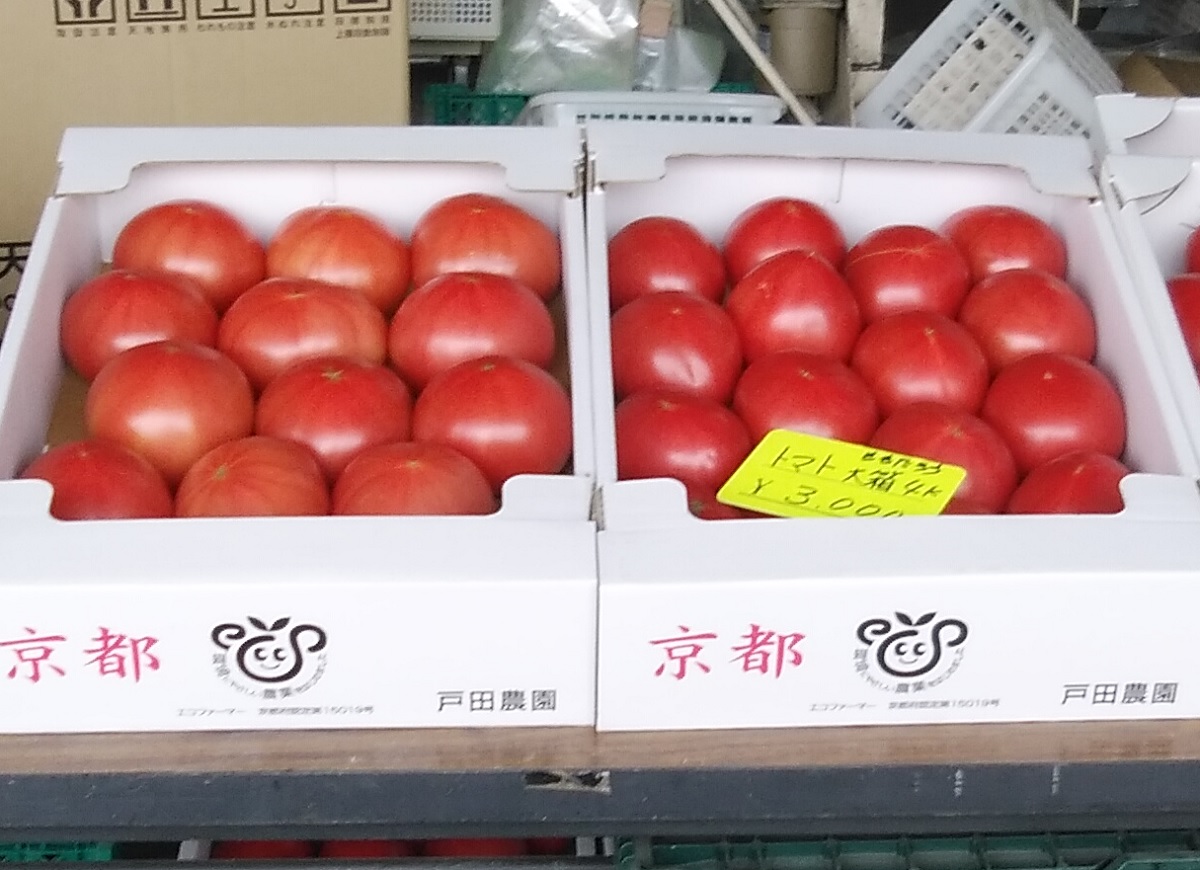 戸田農園で生産した真っ赤なトマト