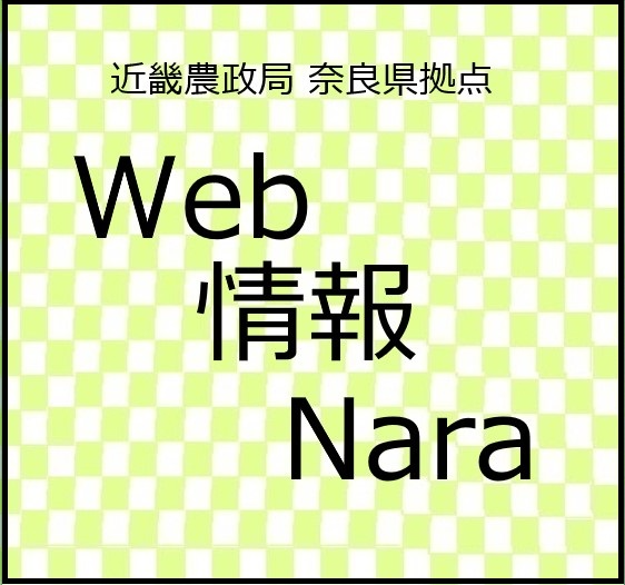 ウェブ情報なら最新号