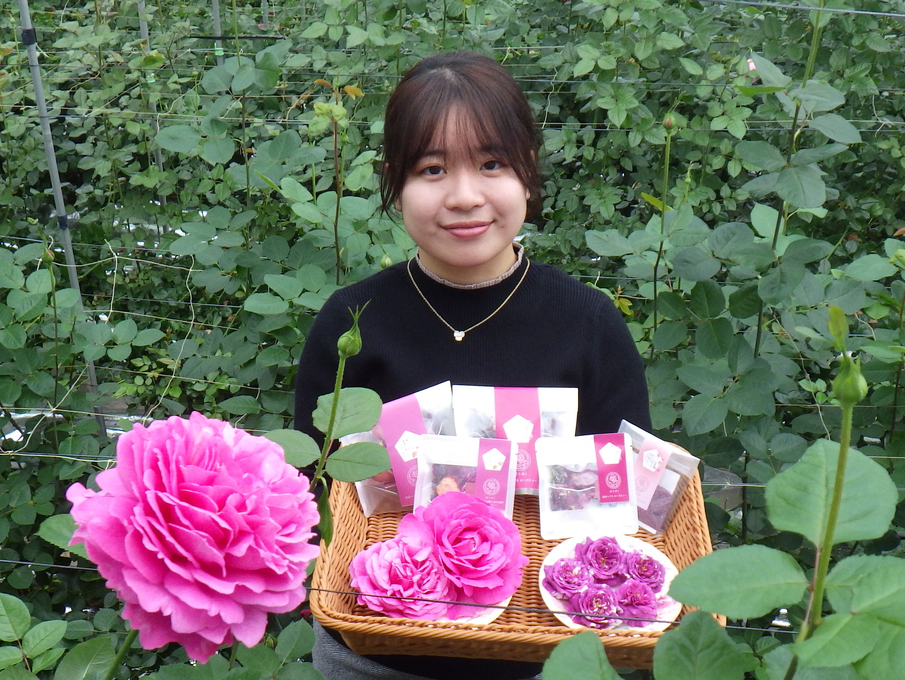 平群町の食べるバラで癒しを届けたい（平群町）～株式会社ばらめく～