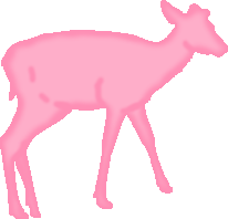 deer2