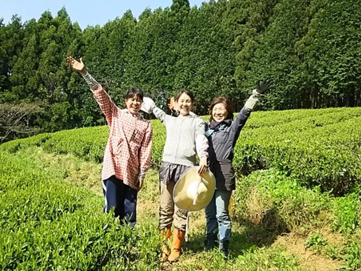 取組事例畑ヘルパー倶楽部画像