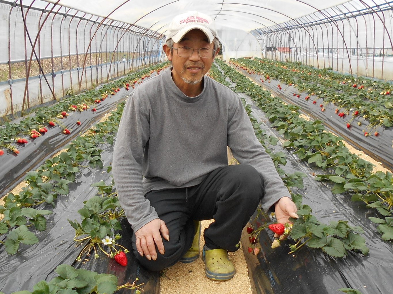 米田さん