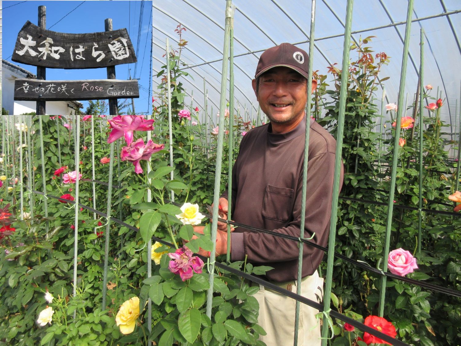 大和ばら園