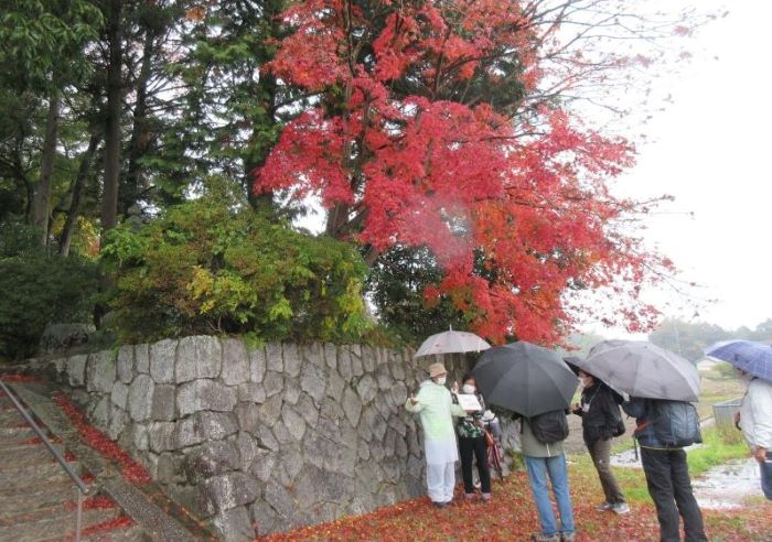 葛城山麓ウォーク