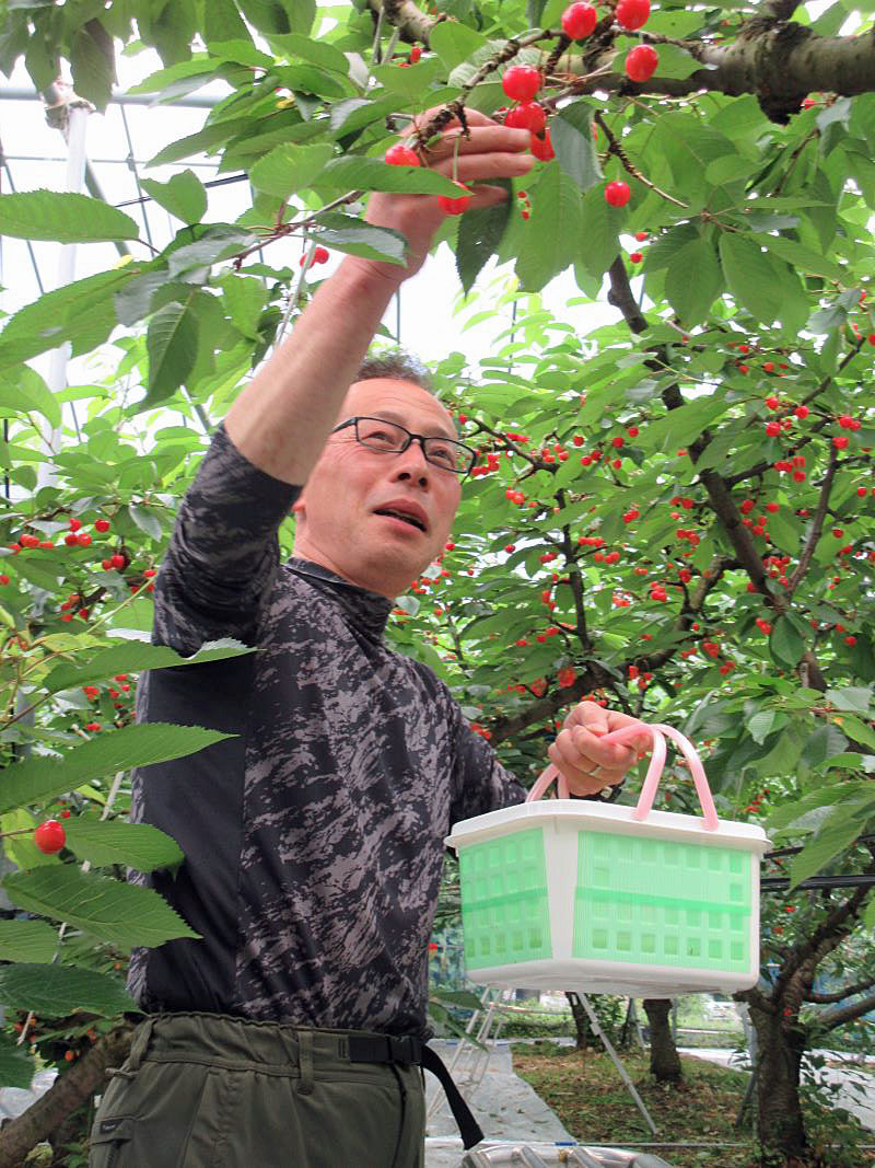 辰巳氏