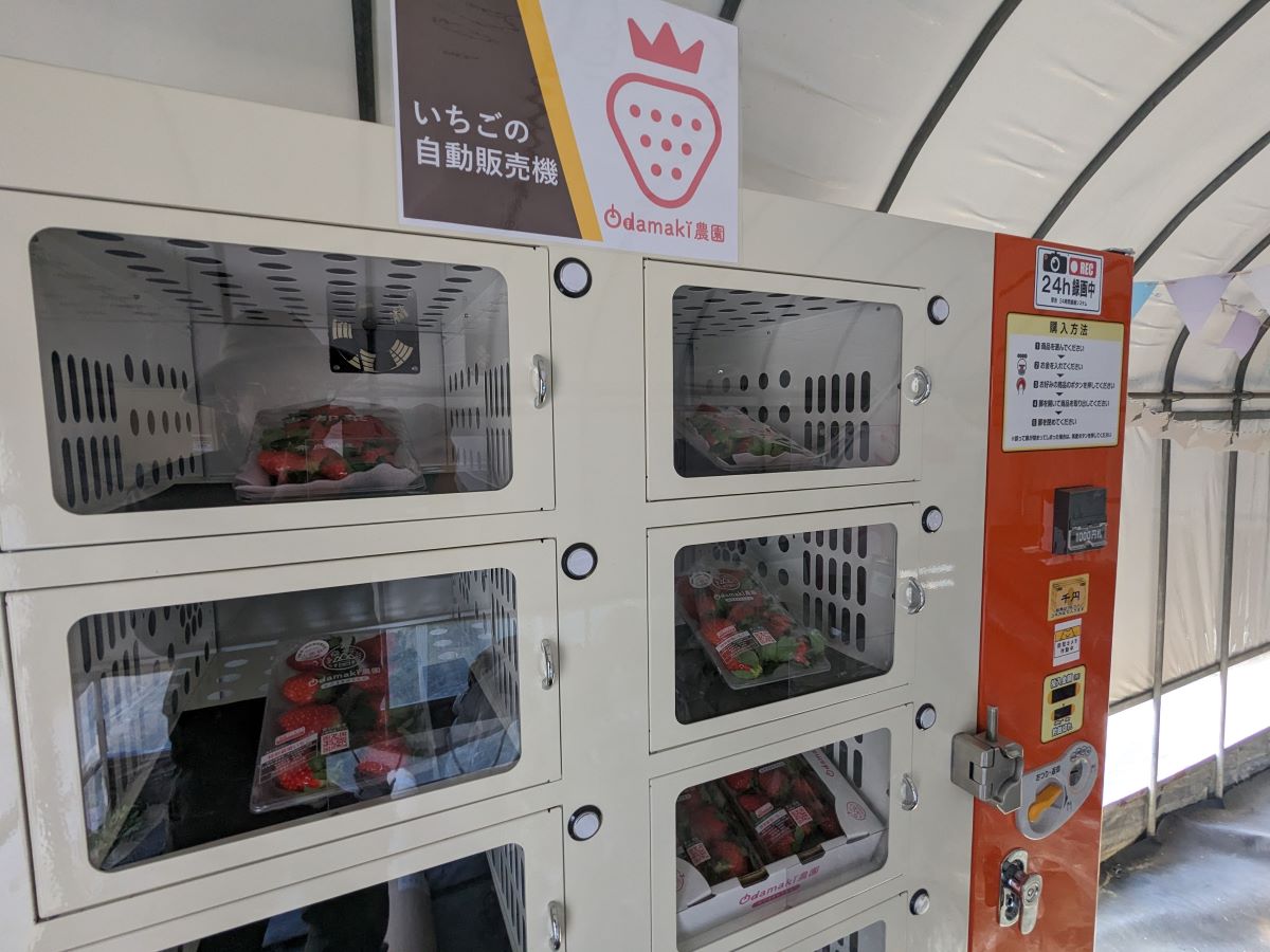 ハウス敷地内に設置した自動販売機