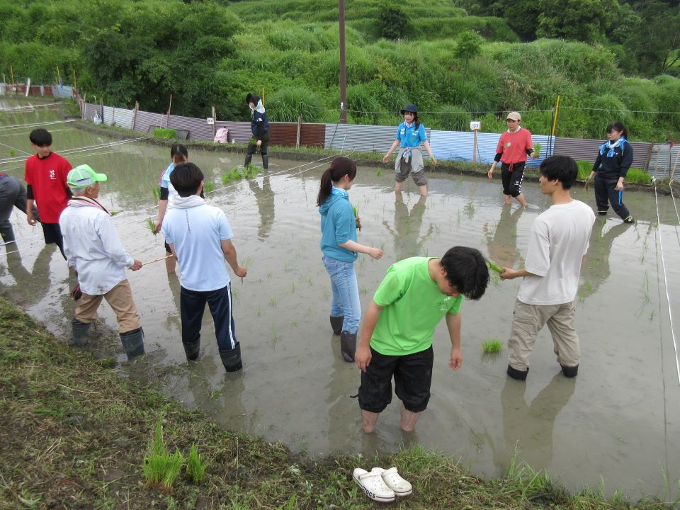 学生ボランティア
