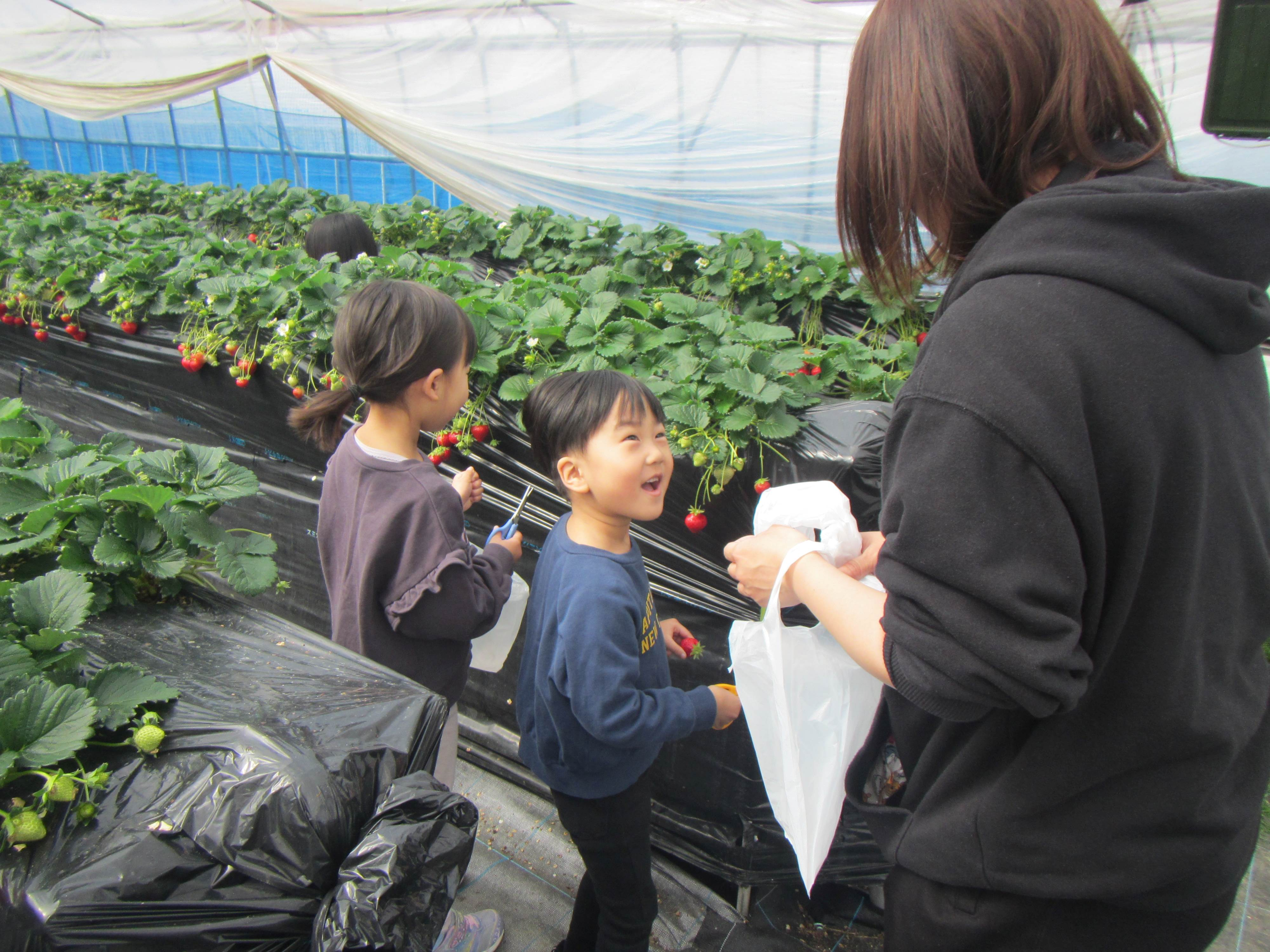 家族で楽しんでもらえます