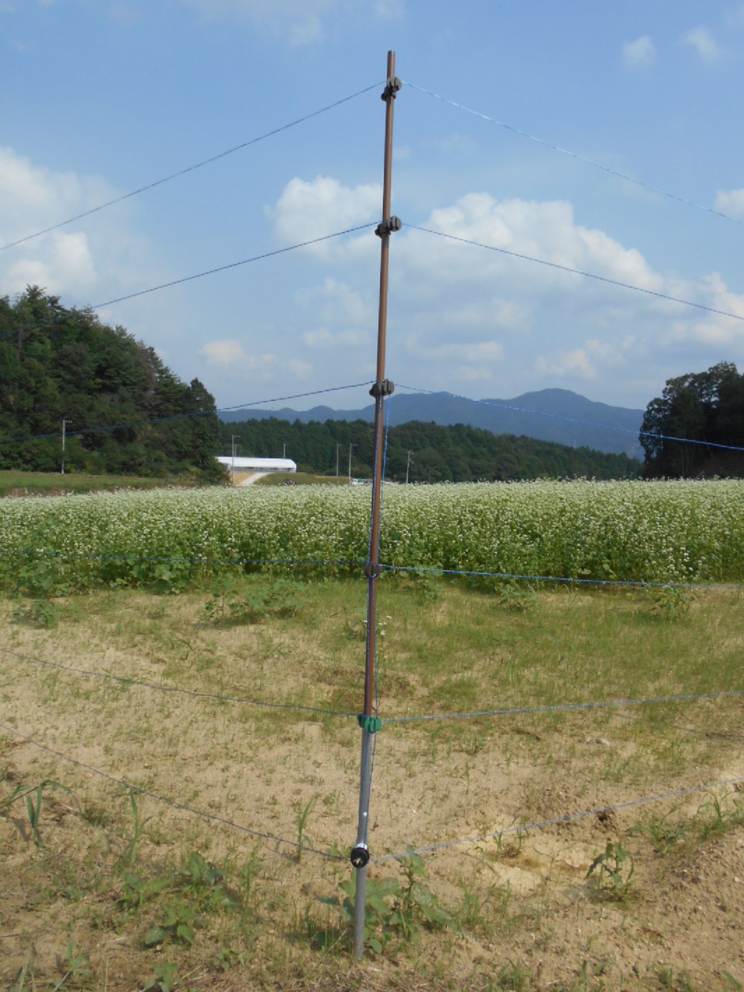 獣害対策の電気柵の画像