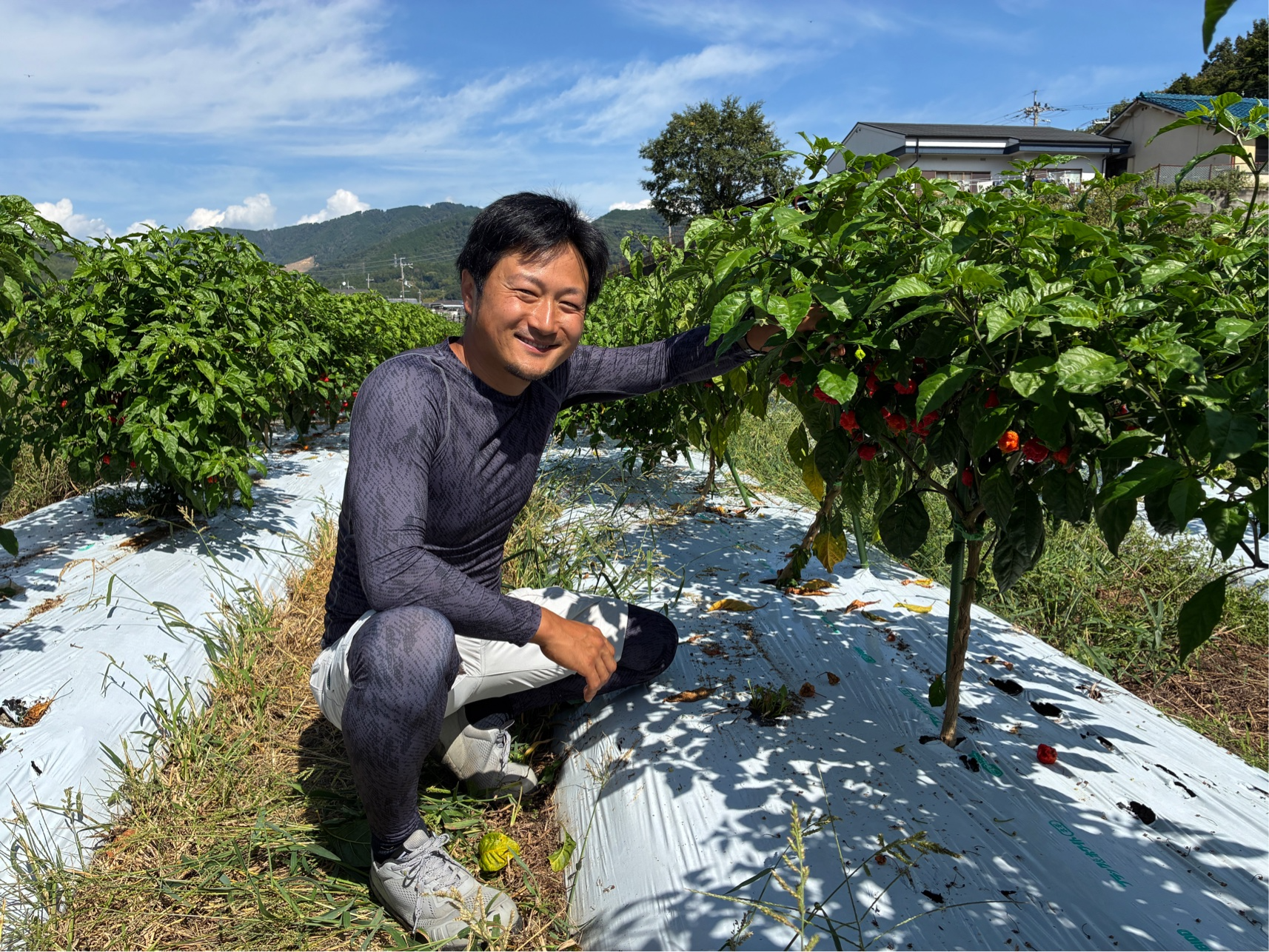 末延氏とキャロライナ・リーパー畑