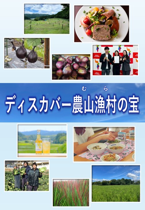 「ディスカバー農山漁村（むら）の宝」の表紙
