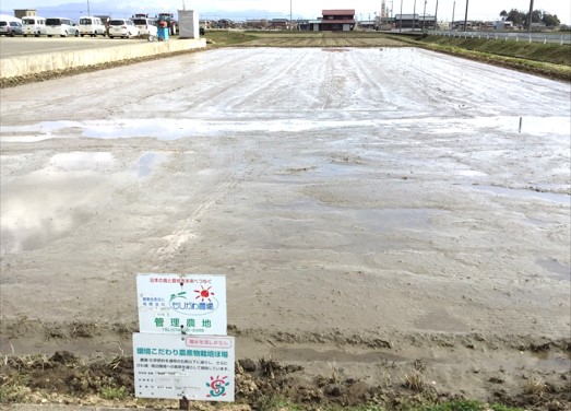 自然に負荷を与えない米づくり