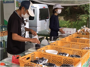 写真左の方が出向社員