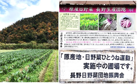 日野菜原産地