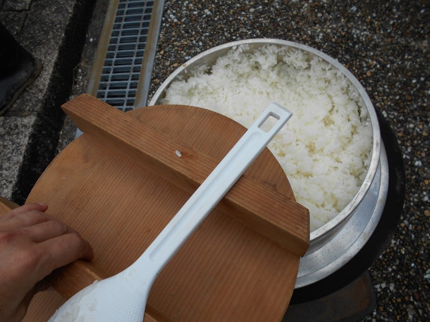炊きたてご飯
