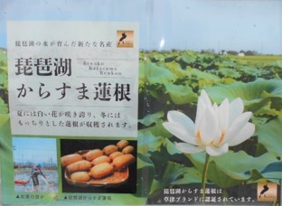 草津ブランド圃場の看板