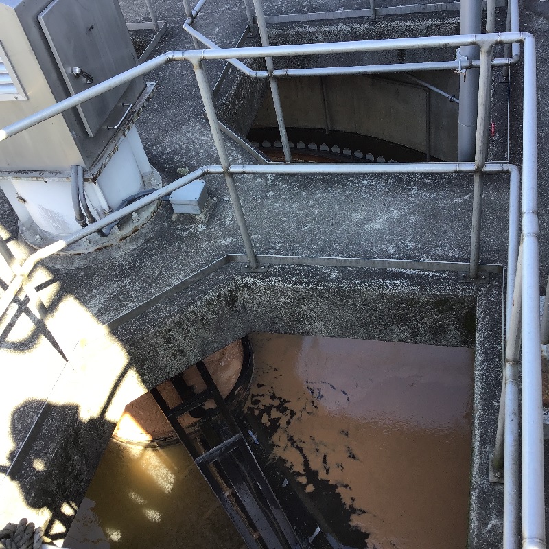 工場内から集まった排水