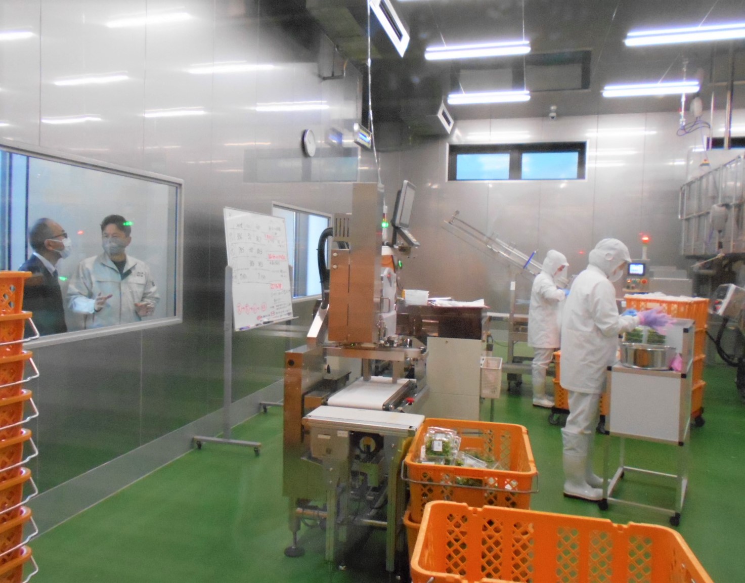 見学通路から説明を聞く渡辺次長