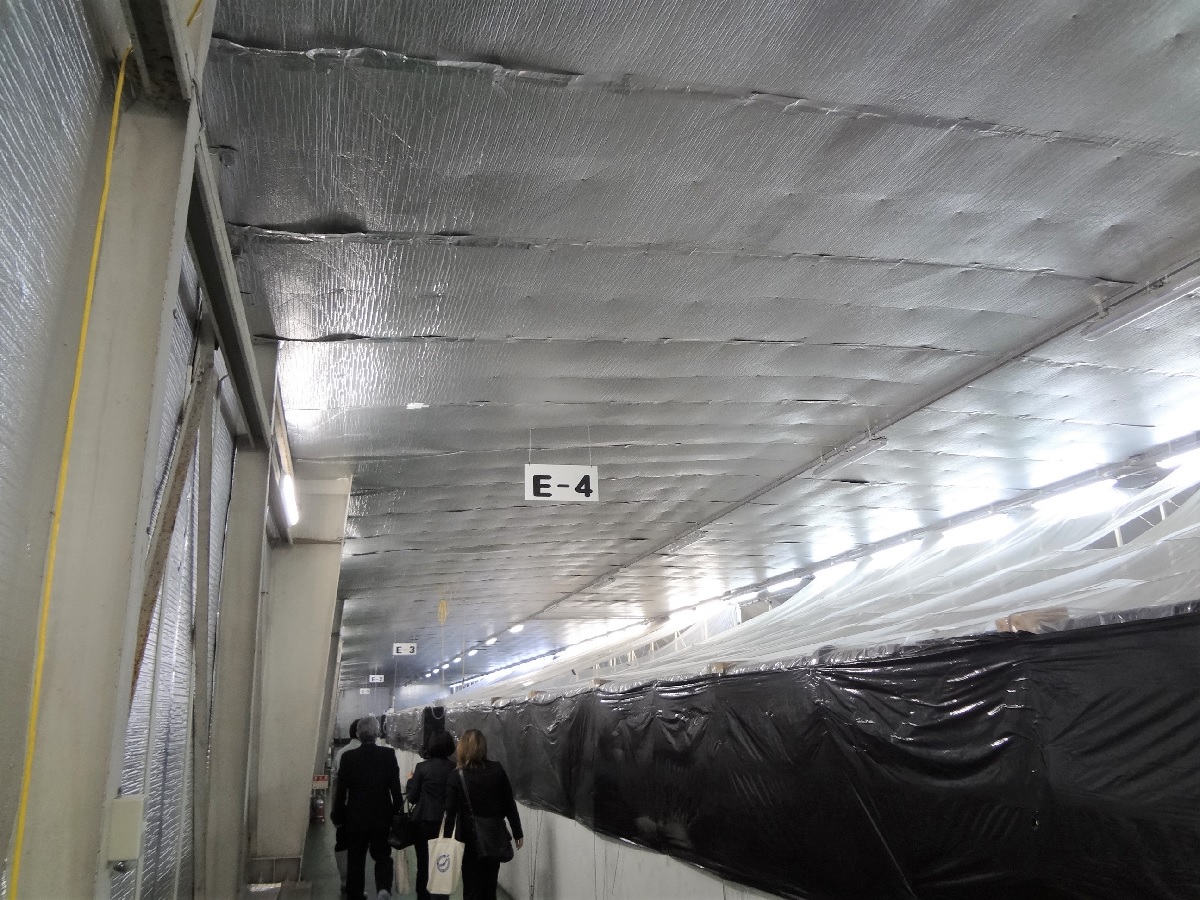 エビ育成エリア