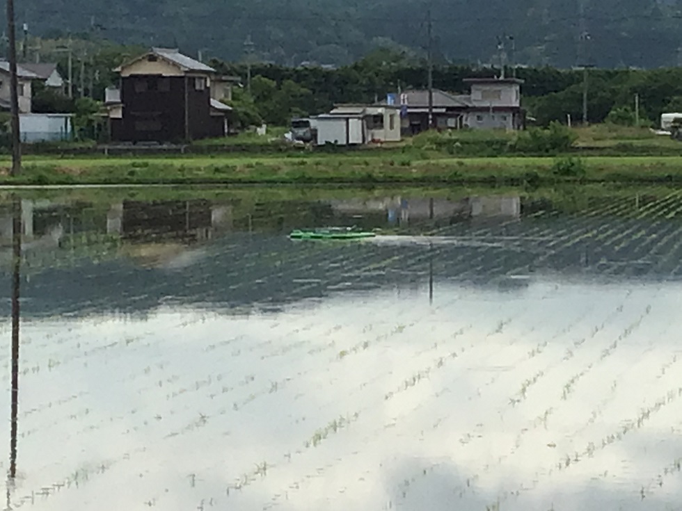 あいがもロボット作動中
