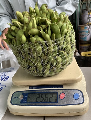 詰め放題の枝豆の計量