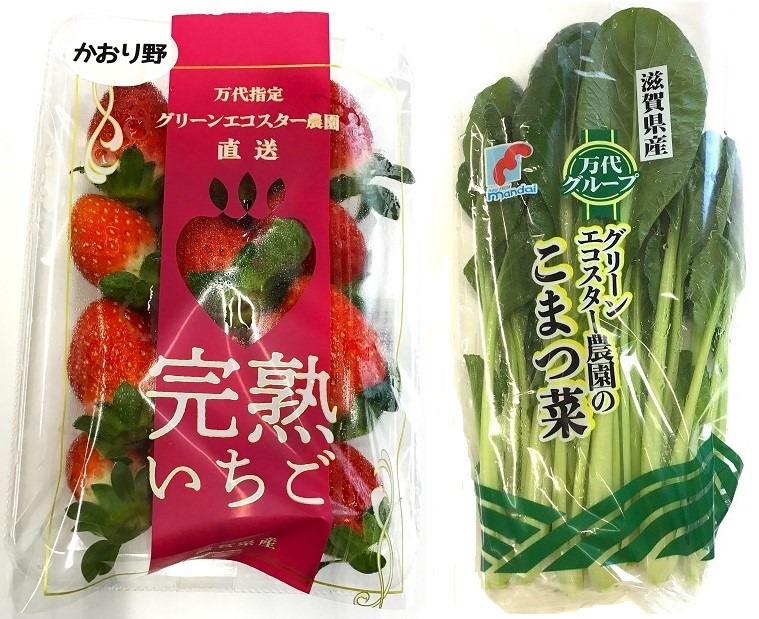 独自ブランドの完熟いちごと小松菜