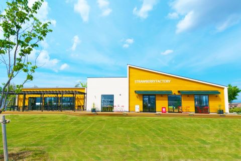 開放的でおしゃれなカフェ