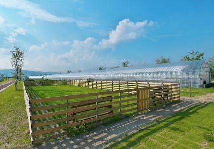 人気のドッグラン