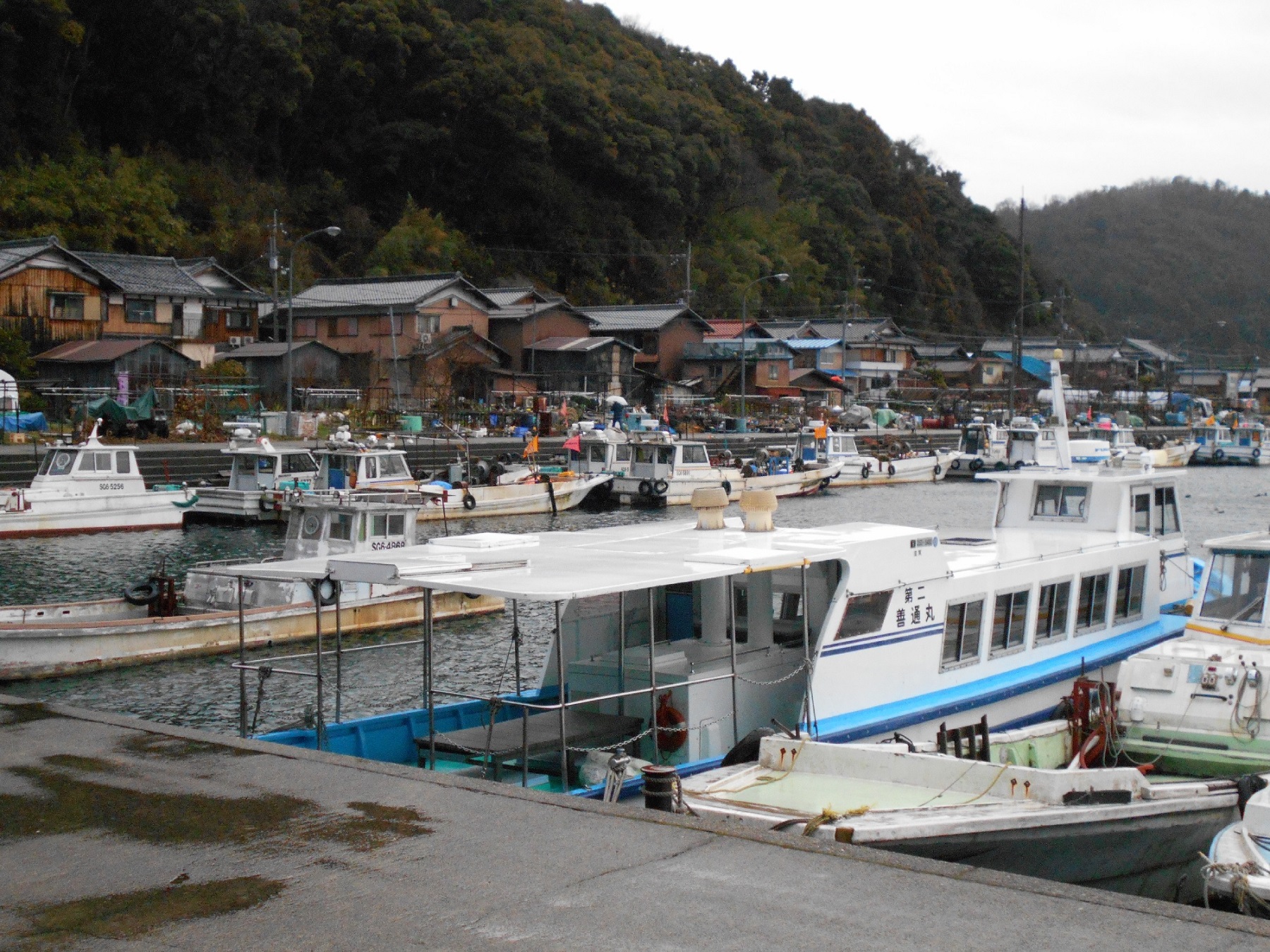 海からの家並み
