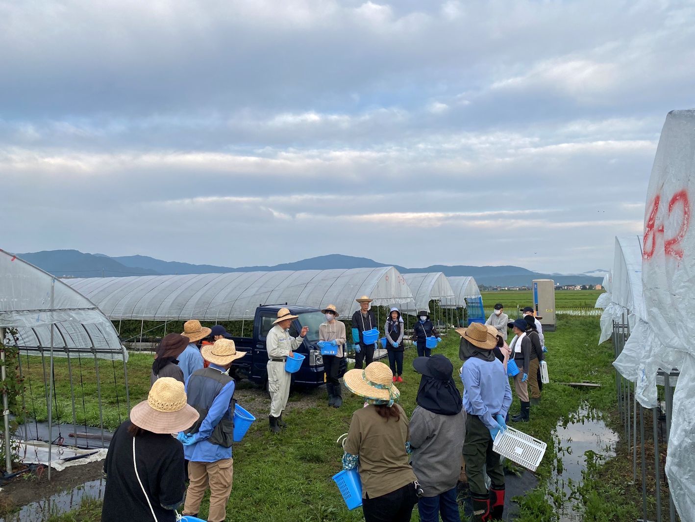 収穫作業に臨む皆さん