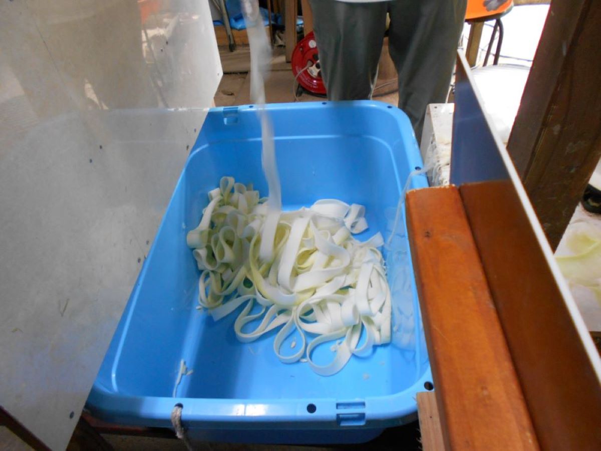 細長く削られた実