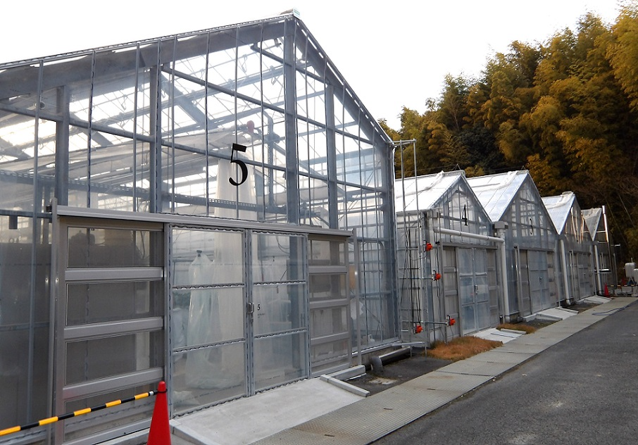 栽培ハウス外観