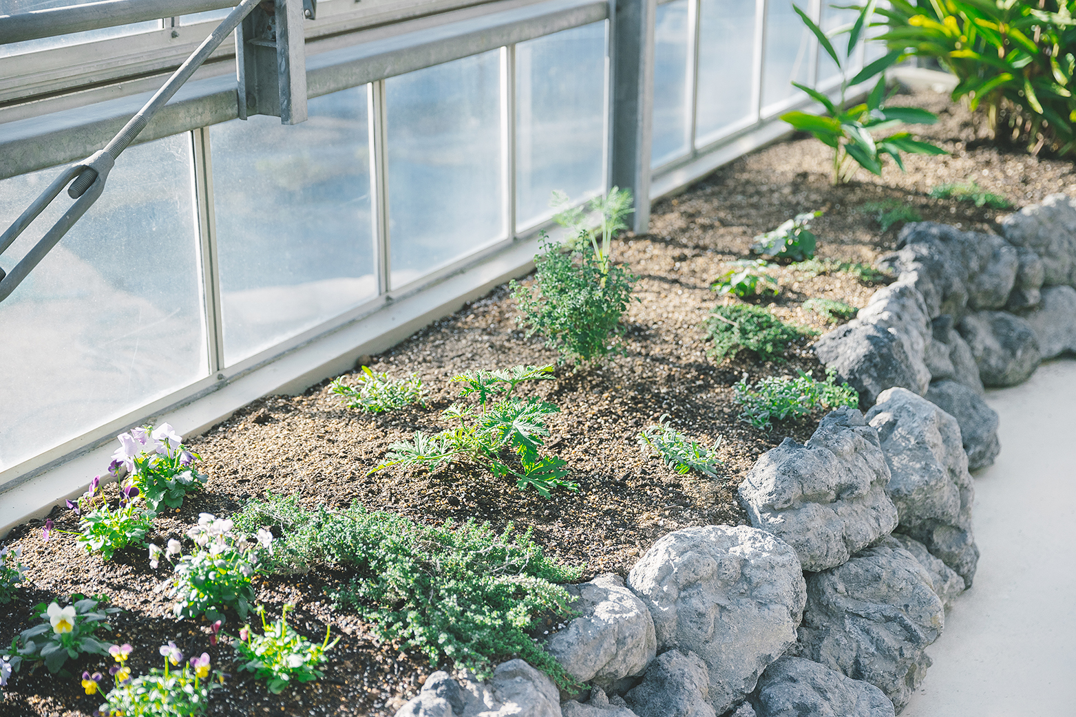 ハーブガーデン