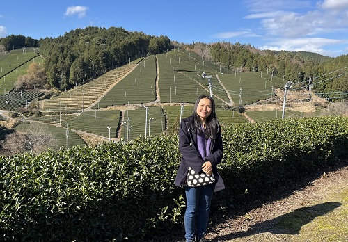 北田さん　茶畑の中で