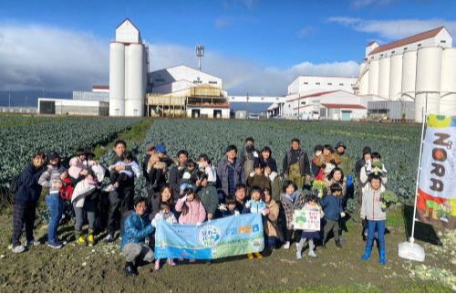 パール野菜ブロッコリー収穫体験