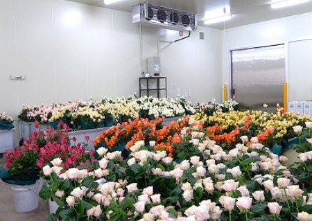 冷蔵庫内の様子