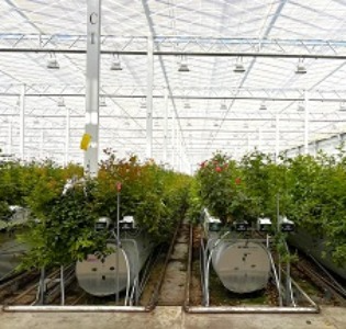 長く続く栽培ラック