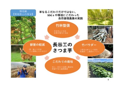 長谷工のさつま芋