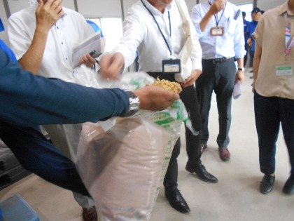 竹パウダーにふれた